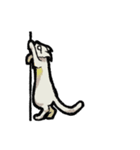 猫と犬 シンプル（個別スタンプ：9）