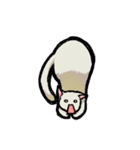 猫と犬 シンプル（個別スタンプ：10）