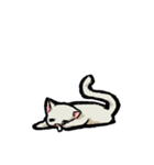 猫と犬 シンプル（個別スタンプ：12）