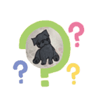 黒パグ 日常会話＋黒ペキ（個別スタンプ：13）