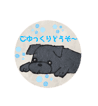 黒パグ 日常会話＋黒ペキ（個別スタンプ：18）