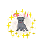 黒パグ 日常会話＋黒ペキ（個別スタンプ：21）
