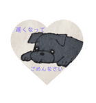 黒パグ 日常会話＋黒ペキ（個別スタンプ：22）