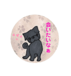 黒パグ 日常会話＋黒ペキ（個別スタンプ：25）