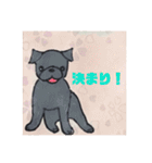 黒パグ 日常会話＋黒ペキ（個別スタンプ：26）