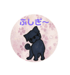 黒パグ 日常会話＋黒ペキ（個別スタンプ：33）