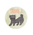 黒パグ 日常会話＋黒ペキ（個別スタンプ：34）