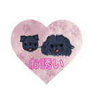黒パグ 日常会話＋黒ペキ（個別スタンプ：39）