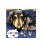 ぴょんスタンプ3（個別スタンプ：7）