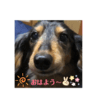 ぴょんスタンプ3（個別スタンプ：8）