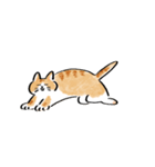 ねこのモネちゃん（個別スタンプ：3）