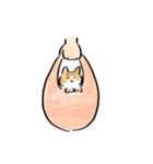 ねこのモネちゃん（個別スタンプ：19）