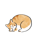 ねこのモネちゃん（個別スタンプ：21）