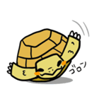リクガメじゃが丸（個別スタンプ：1）