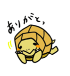 リクガメじゃが丸（個別スタンプ：2）