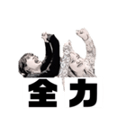 モノクロ自由人（個別スタンプ：16）