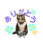 みんとさんは喋る2（個別スタンプ：5）