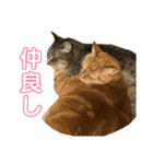 kinaco＆mame Vol.1（個別スタンプ：6）