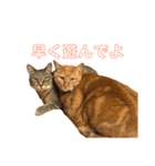 kinaco＆mame Vol.1（個別スタンプ：8）