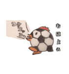 サッカーペンギン（個別スタンプ：1）