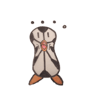 サッカーペンギン（個別スタンプ：4）