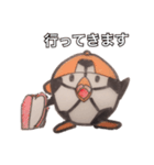 サッカーペンギン（個別スタンプ：5）