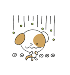 ぶち犬。日常よく使う言葉（個別スタンプ：30）