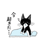 うちのはちわれ猫スタンプ（個別スタンプ：2）