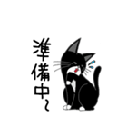 うちのはちわれ猫スタンプ（個別スタンプ：19）