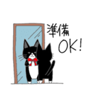 うちのはちわれ猫スタンプ（個別スタンプ：20）