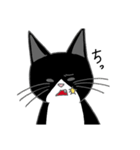 うちのはちわれ猫スタンプ（個別スタンプ：21）