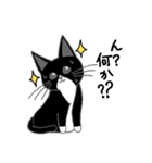 うちのはちわれ猫スタンプ（個別スタンプ：23）