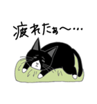 うちのはちわれ猫スタンプ（個別スタンプ：24）
