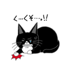 うちのはちわれ猫スタンプ（個別スタンプ：28）