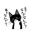 うちのはちわれ猫スタンプ（個別スタンプ：30）