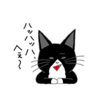 うちのはちわれ猫スタンプ（個別スタンプ：37）