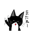 うちのはちわれ猫スタンプ（個別スタンプ：40）