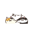 ごろねこサミット3（個別スタンプ：23）