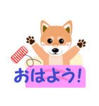 柴犬ちゃんだよ。（個別スタンプ：1）