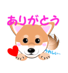 柴犬ちゃんだよ。（個別スタンプ：3）