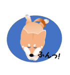 柴犬ちゃんだよ。（個別スタンプ：5）