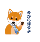 柴犬ちゃんだよ。（個別スタンプ：10）