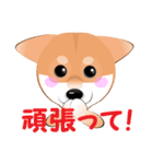 柴犬ちゃんだよ。（個別スタンプ：23）