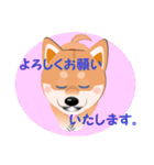 柴犬ちゃんだよ。（個別スタンプ：35）