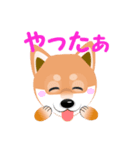 柴犬ちゃんだよ。（個別スタンプ：37）