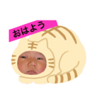 パパそっくりのきょーちゃん 2（個別スタンプ：4）