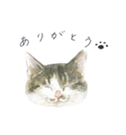さくらねこのぐり（個別スタンプ：2）