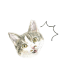 さくらねこのぐり（個別スタンプ：4）