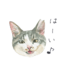 さくらねこのぐり（個別スタンプ：5）
