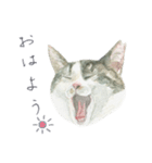 さくらねこのぐり（個別スタンプ：9）